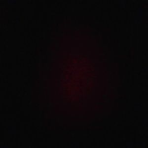 Meet your Posher, Lynnelee